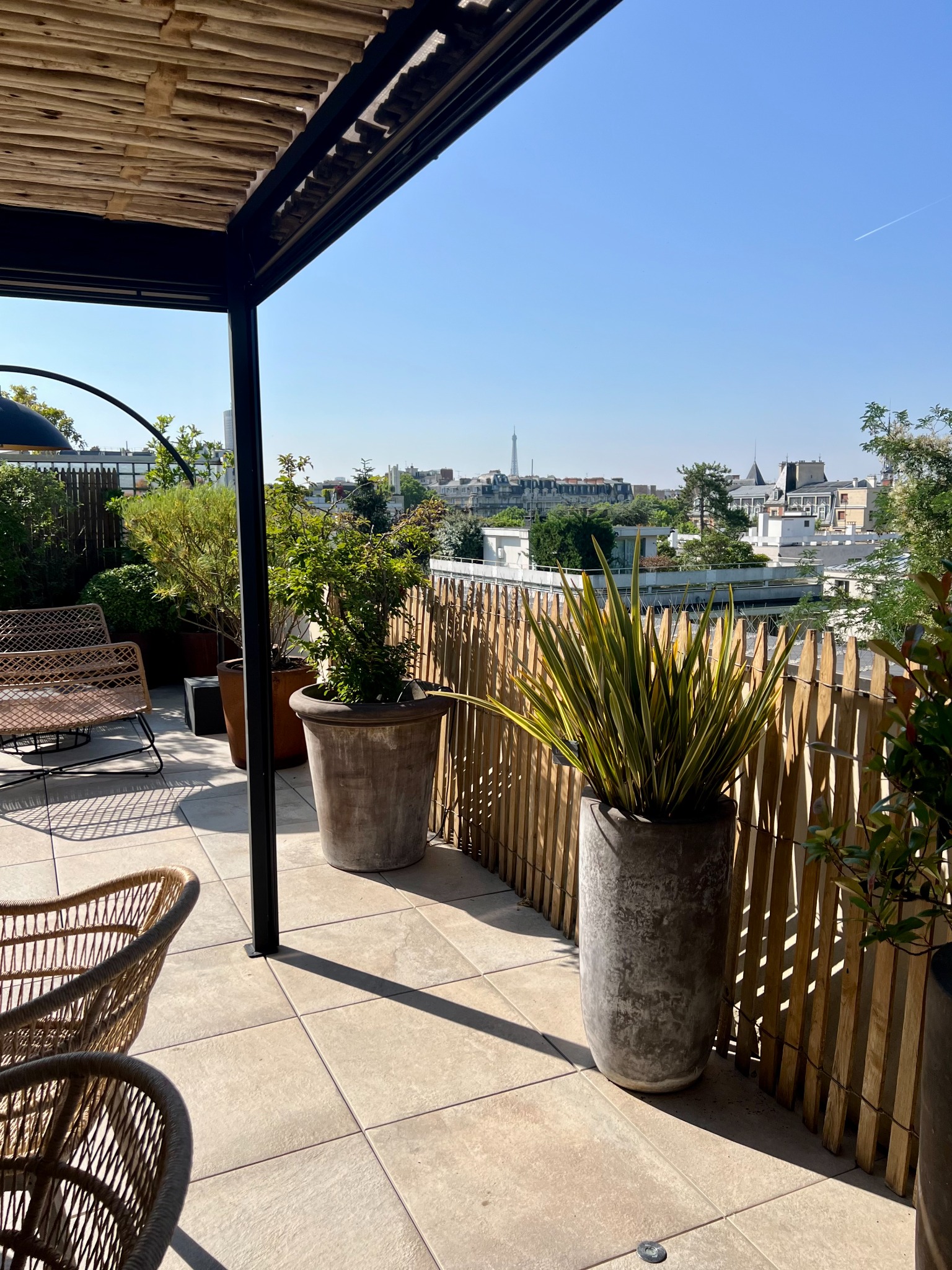Plantes en bacs sur une terrasse ouverte sur les toits de Paris