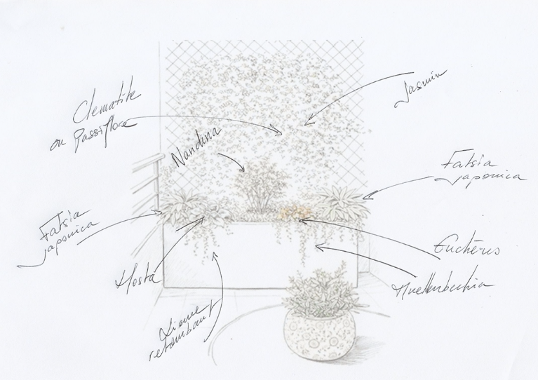 Esquisse dessinée d’un projet de plantations en jardinières
