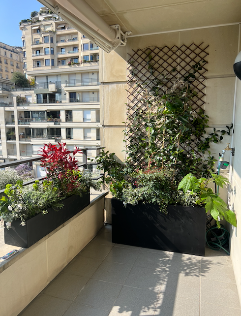 Balcon planté avec treillage et jardinières