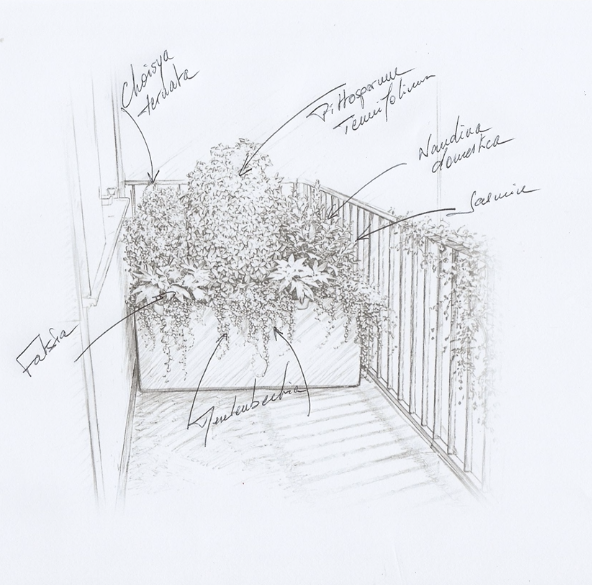 Croquis de projet pour un balcon avec plantes et treillage