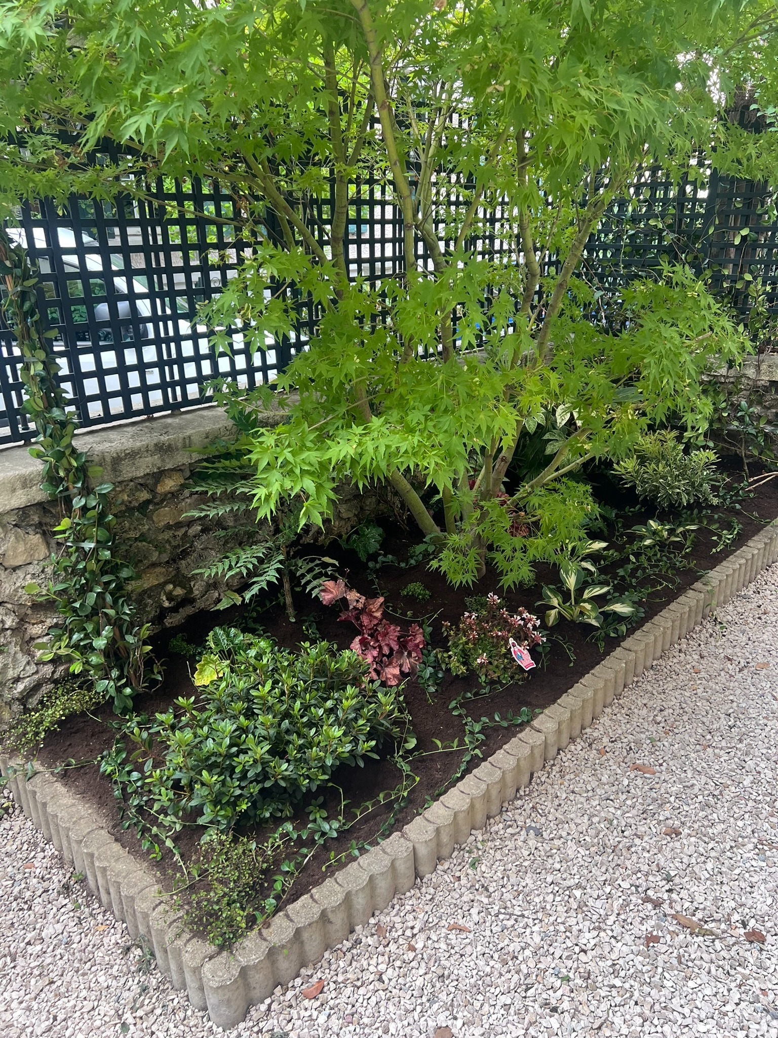 Massif composé d’arbustes et de plantes variées