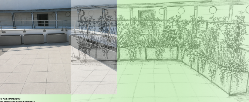 Terrasse avant aménagement, avec esquisse de la future végétalisation